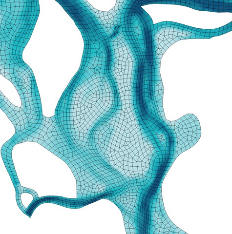 TUFLOW 2D/3D Flexible Mesh Modelling